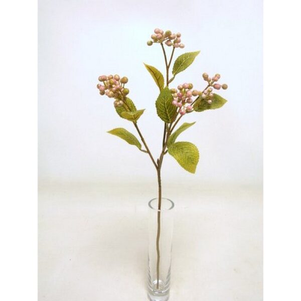 RAMO BACCA X5 CM53 malva (Cod. 36389-01)