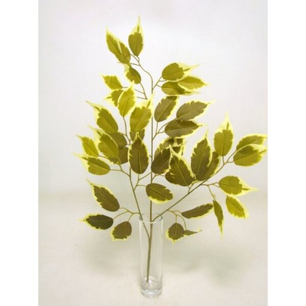 RAMO FICUS AUTUNNALE X42 56CM variegato (Cod. 36390-03)
