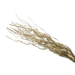 PALMA ONDULATA TING TING 250GR 100-105 CM  (Cod. 36219-01)