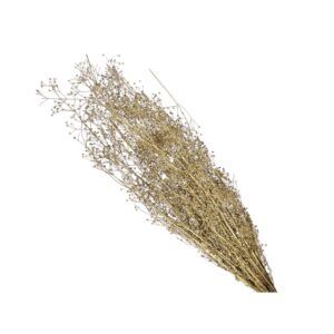 FASCIO SPERGULA ORO 55CM gypso oro  (Cod. 36222-01)