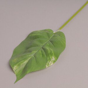 RAMO FOGLIA POTHOS 23X16 CM  (Cod. 36758-01)