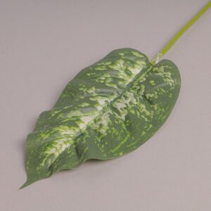 RAMO DIEFFENBACHIA 25X14 CM  (Cod. 36759-01)