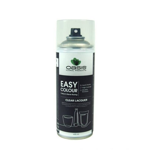 EASY COLOUR LACCA TRASPARENTE 400 ML  (Cod. 36779-01)