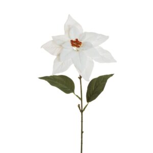 POINSETTIA D 22 CM bianco (Cod. 36634-01)