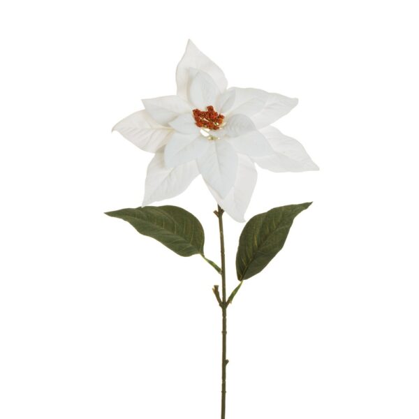 POINSETTIA D 22 CM bianco (Cod. 36634-01)