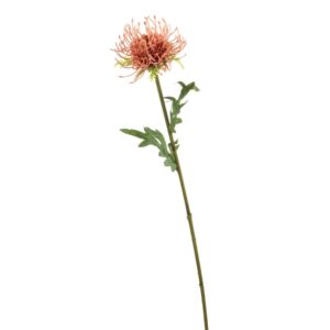 BLOOMEN PROTEA RAMO 60 CM salmone (Cod. 36803-03)