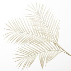 RAMO PALMA X3 86 CM bianco (Cod. 36572-03)