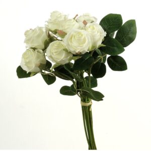 MAZZO X12 ROSE CM37 crema (Cod. 36806-01)