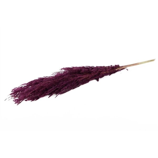 MAZZO PAMPAS 8PZ L120 IN BUSTA bordeaux (Cod. 31343-02)