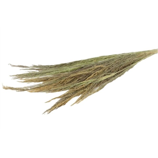 MAZZO ERBA 250GR  (Cod. 31347-01)