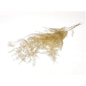 MAZZO ASPARAGUS FINE  oro (Cod. 36411-01)