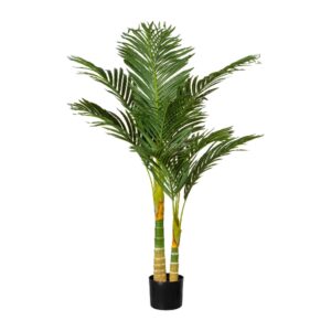 PIANTA ARECA PALMA 120CM  (Cod. 36509-01)