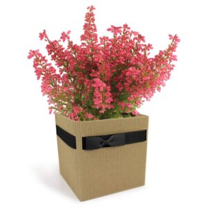 BORSINE SIMPLY MEDIUM 12x12 H12,5 PZ10 naturale-nero (Cod. 25713-03)