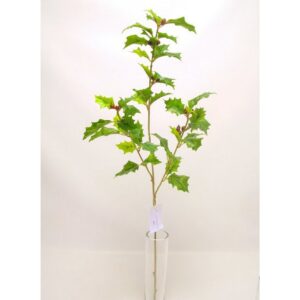 RAMO AGRIFOGLIO CON BACCHE CM.63 verde (Cod. 30488-01)