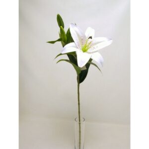 RAMO LILIUM CM75 crema (Cod. 30347-01)