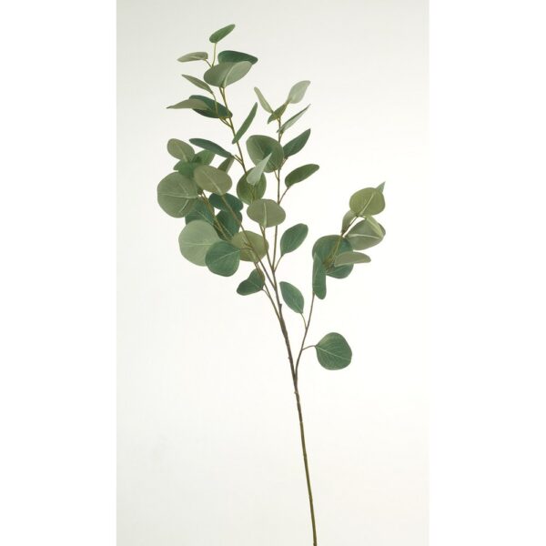 RAMO EUCALYPTUS X5 100 CM  (Cod. 36934-01)