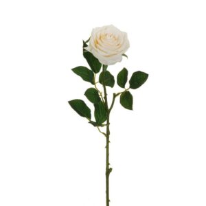 ROSA ECUADOR CON TESTA D9 CM H65 CM crema (Cod. 36915-01)