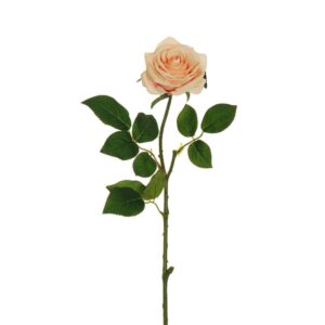 ROSA ECUADOR CON TESTA D9 CM H65 CM salmone (Cod. 36915-02)