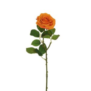 ROSA ECUADOR CON TESTA D9 CM H65 CM arancio-chiaro (Cod. 36915-03)