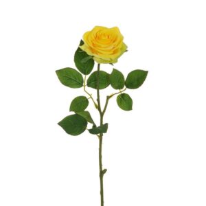 ROSA ECUADOR CON TESTA D9 CM H65 CM giallo (Cod. 36915-04)