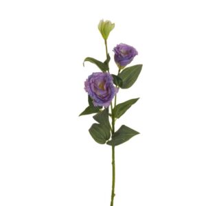 LISIANTHUS STEM X2 CM70 CON BOCCIOLO lilla (Cod. 25697-11)