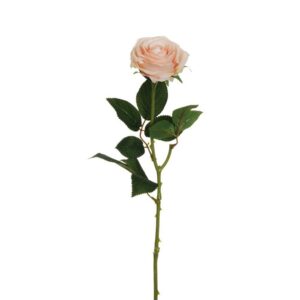 ROSA ECUADOR CON TESTA D9 CM H65 CM rosa-carne (Cod. 36915-08)