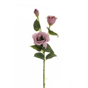 LISIANTHUS STEM X2 CM70 CON BOCCIOLO lilla (Cod. 25697-13)