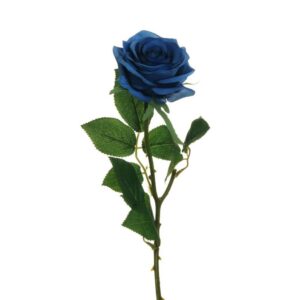 ROSA ECUADOR CON TESTA D9 CM H65 CM blu-scuro (Cod. 36915-05)