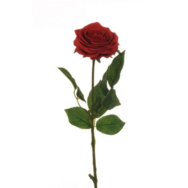 ROSA ECUADOR CON TESTA D9 CM H65 CM rosso (Cod. 36915-06)