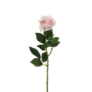 ROSA ECUADOR CON TESTA D9 CM H65 CM rosa-crema (Cod. 36915-09)