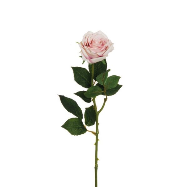 ROSA ECUADOR CON TESTA D9 CM H65 CM rosa-crema (Cod. 36915-09)