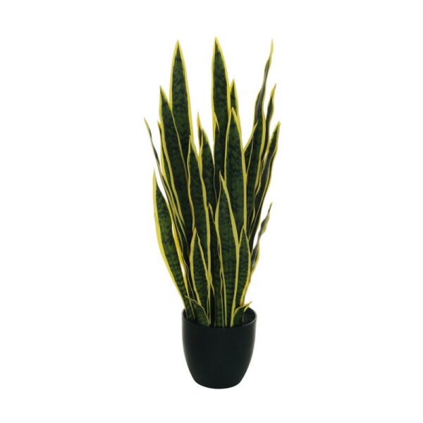 PIANTA SANSEVIERIA REAL TOUCH, VASO D20 H85 CM  (Cod. 33240-01)