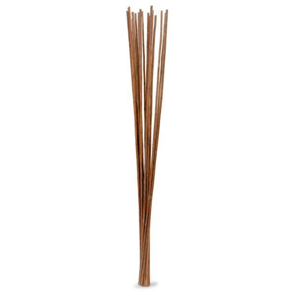 PAT STEM/JUTE STICK CM.100 40PZ. naturale (Cod. 30119-02)