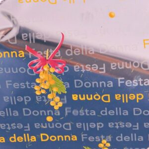 SPEZZONI ALEXA 35MY 15X30 CM 100PZ argento (Cod. 36975-03)