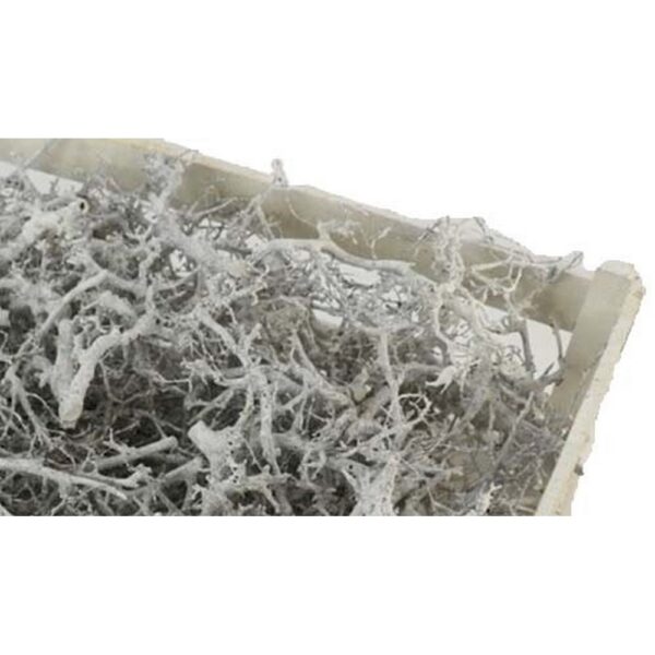 CASSA 60X40 CM LEGNETTI BONSAI bianco (Cod. 34379-01)