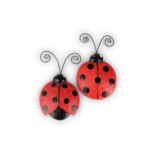 SET 8 COCCINELLE 7X4,5 CM  (Cod. 37262-01)