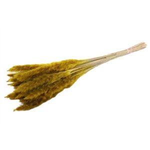 MAZZO FLUFFY PAMPAS  giallo (Cod. 37090-02)