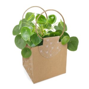 BORSE EVIDENCE MEDIUM 12X12 H12,5 10PZ  (Cod. 30080-01)