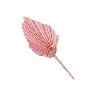 SET 7 PZ FOGLIA DI PALMA  rosa (Cod. 33491-02)
