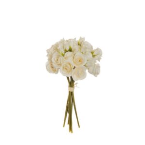 MAZZO MINI x9 CON 18 ROSE ANNA  crema (Cod. 37246-01)