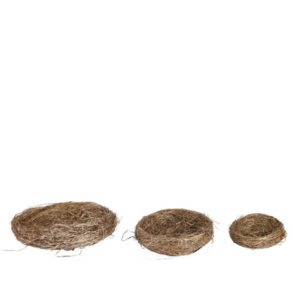 SET 3 PZ NIDO RAMOSCELLI D25 H4 CM  (Cod. 37451-01)
