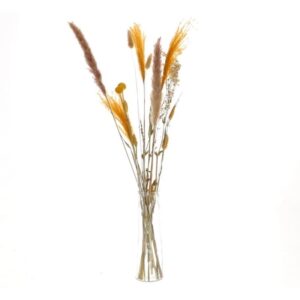 MAZZO FIORI SECCHI IN BOTTIGLIA 77X15 CM giallo (Cod. 37080-01)