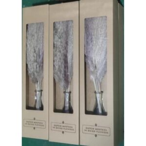 MAZZO PAMPAS IN BOTTIGLIA H 10,5 D 4,5 CM   (Cod. 37082-01)