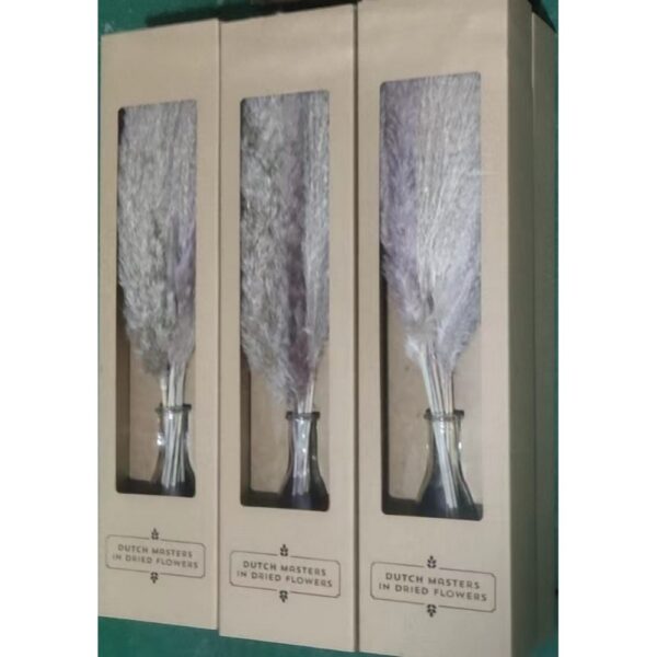 MAZZO PAMPAS IN BOTTIGLIA H 10,5 D 4,5 CM   (Cod. 37082-01)
