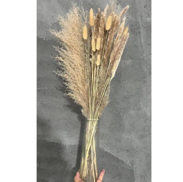 MAZZO FIORI SECCHI IN BOTTIGLIA H 25 D 8 CM naturale (Cod. 37081-01)