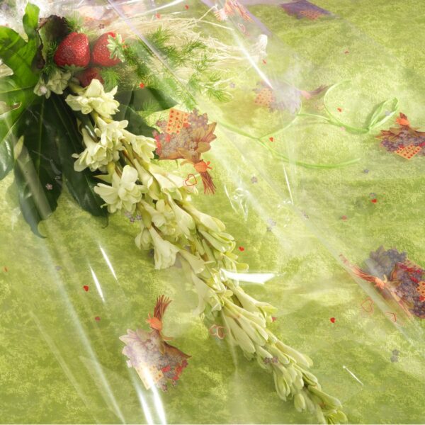 ROTOLO CELLOPHANE STESO STAMPATO 1X50 MT VALENTINO  (Cod. 36985-01)