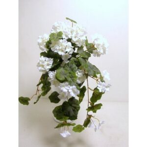 MAZZO GERANIO X 12 CM.56 crema (Cod. 2162-03)