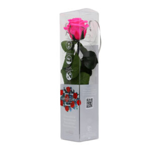 GIFT BOX AMOROSA MINI H27,5 DIAM. TESTA 3,5-4,5 rosa-acceso (Cod. 17974-06)