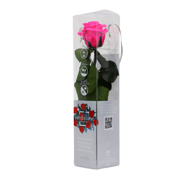GIFT BOX AMOROSA MINI H27,5 DIAM. TESTA 3,5-4,5 rosa-acceso (Cod. 17974-06)