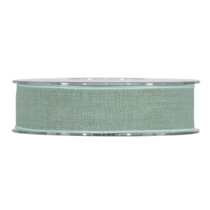 NASTRO CARNIVAL MM 25 MT 15  salvia (Cod. 37473-04)